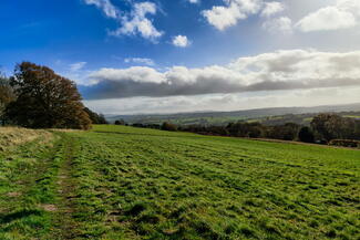 Bromyard downs