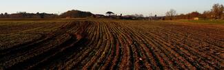 ploughed fields