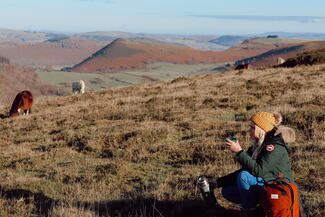 Hergest Ridge