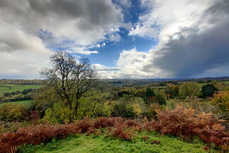 Hergest Ridge