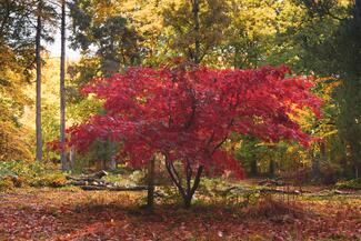 Queenswood Country Park