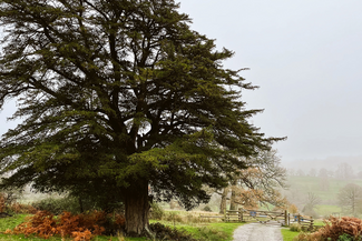 Eastnor Deer Park