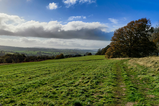 Bromyard Downs