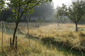 breinton walk