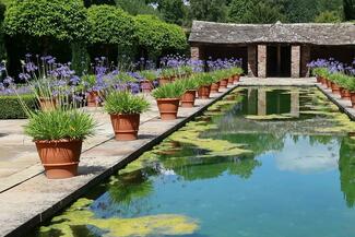 Rectangular pool with potted plants at edges