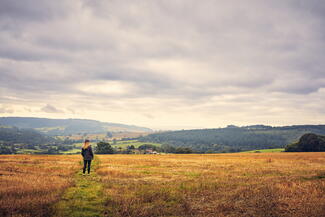 Lingen countryside