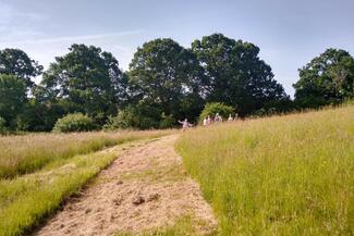 Walking Ross to Little Dewchurch