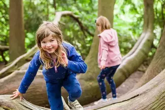 Climbing over treetrunks