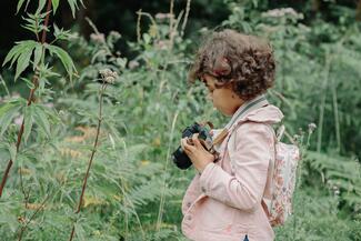 Photographing butterflies in the wood