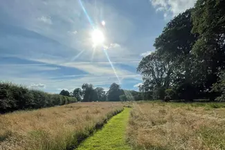 Warren Farm Campsite