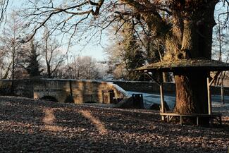 Leintwardine bridge