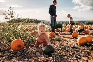 Pumpkin Pete's Ledbury