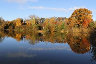 Woodside Lodges Autumnal Lake