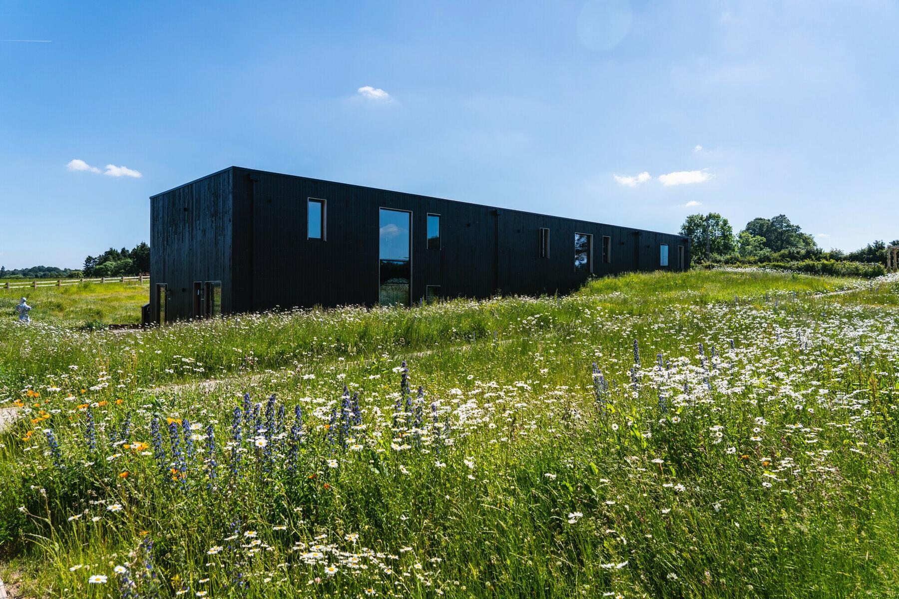 Farms & Coppices bedrooms and the wildflower meadow