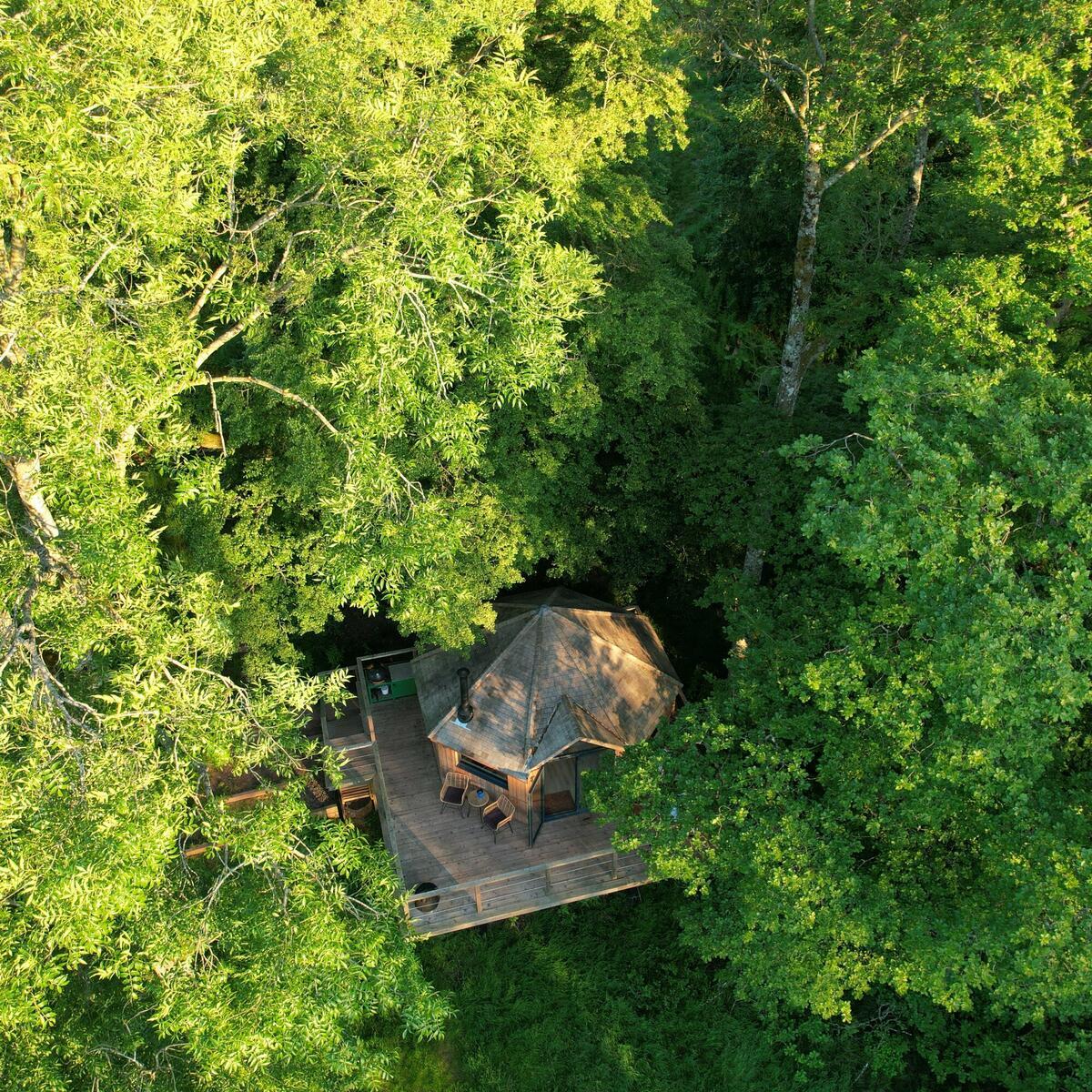 The Treehouse