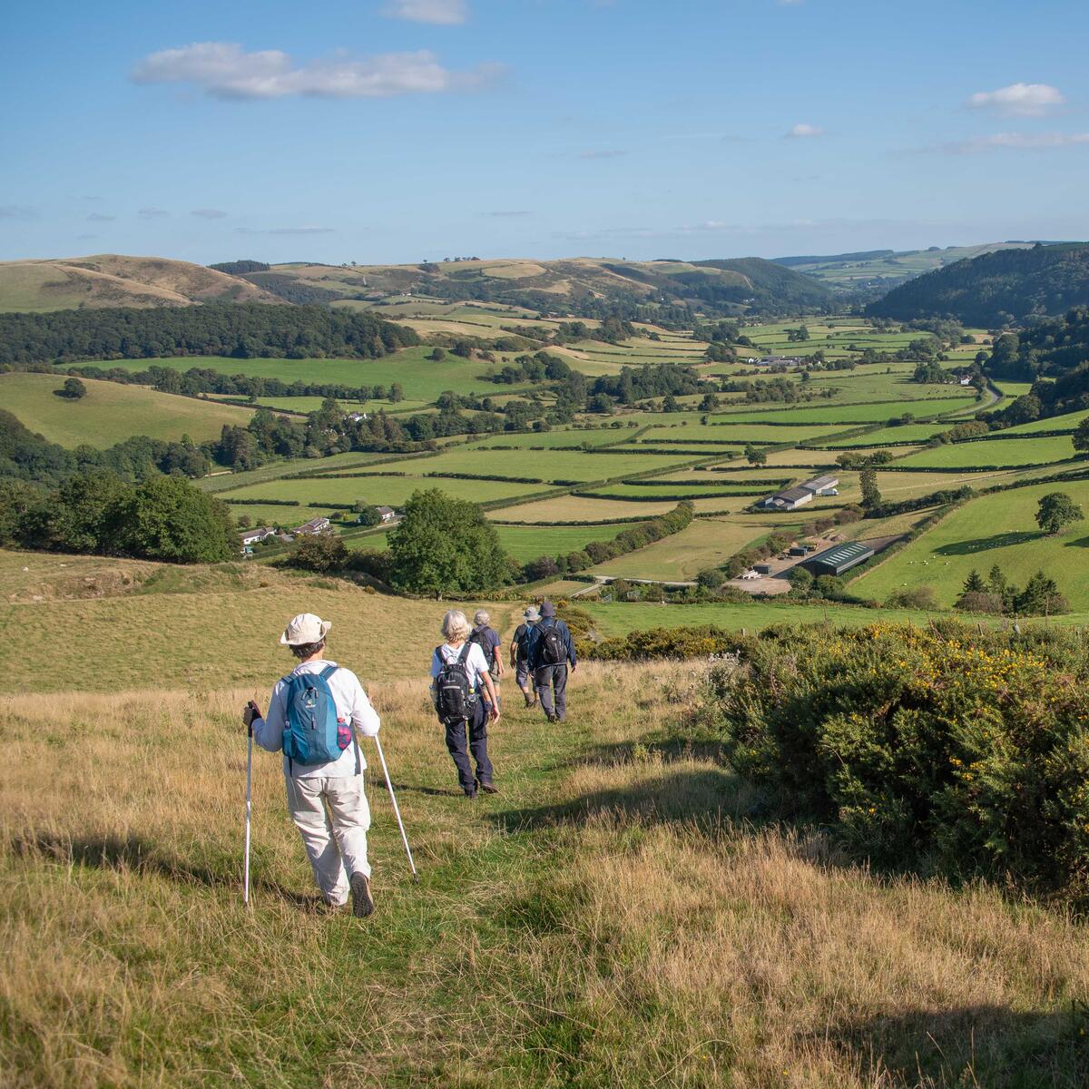 Walkers walking down a hill