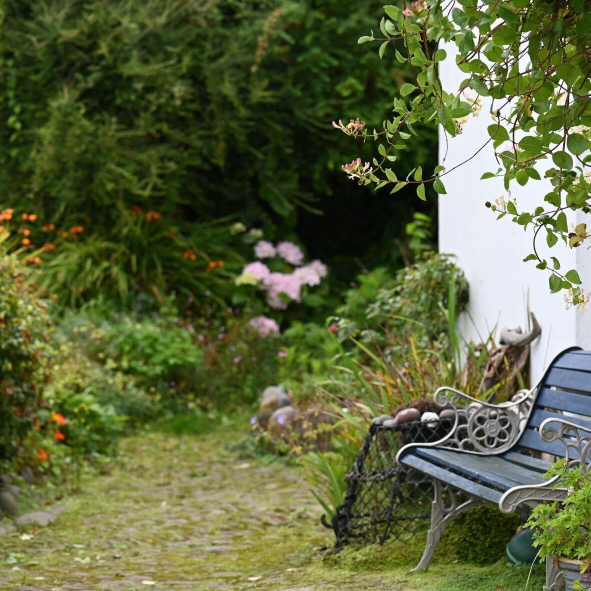 Bench in a Garden