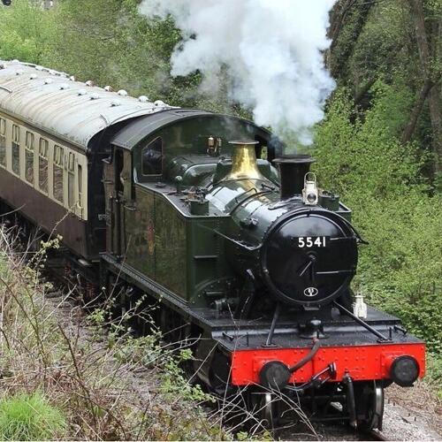 Ride on a restored steam train puffing through the Forest of Dean 