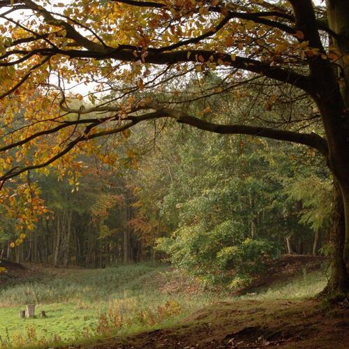 The Wildlife Reserves of the Woolhope Dome