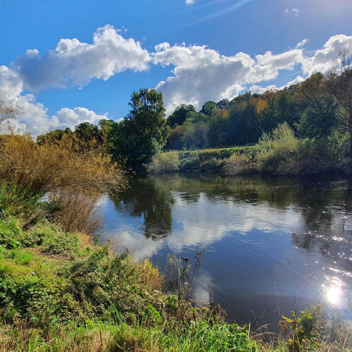 Sky reflecting in water