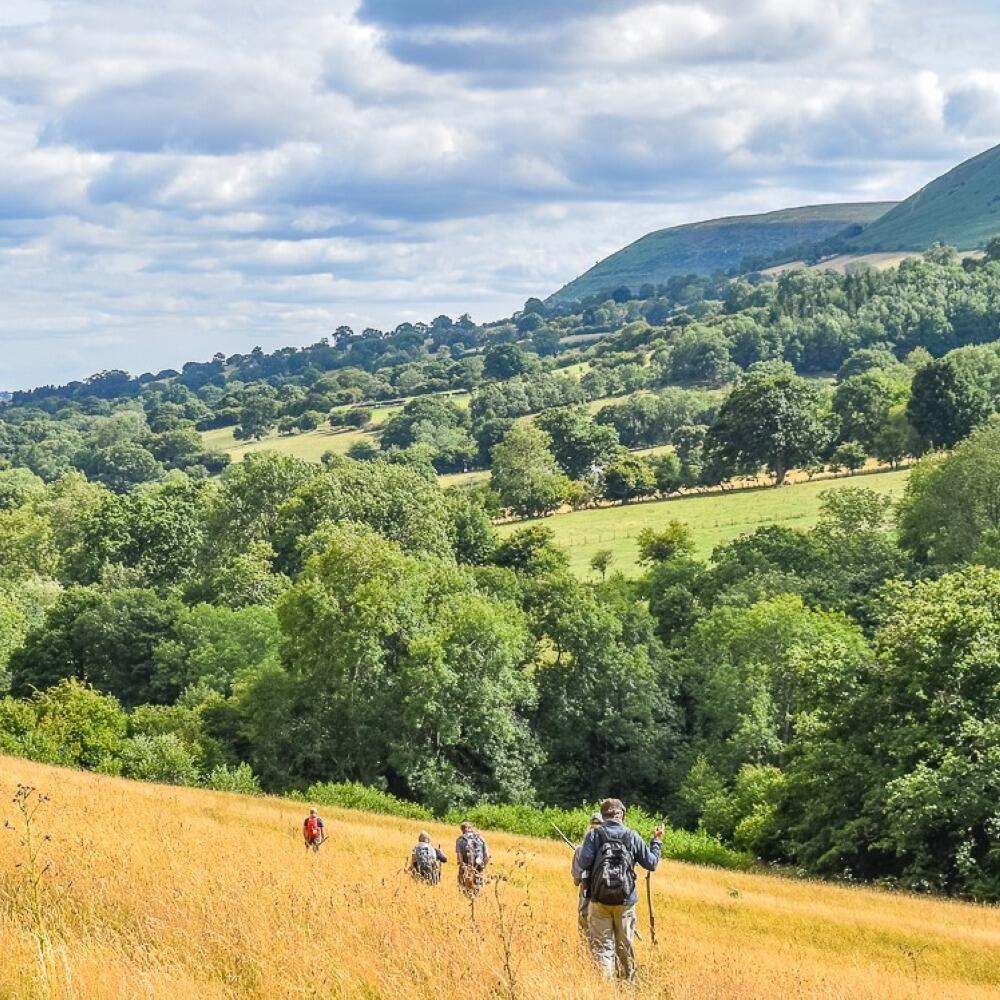 Pilgrims walking in the Black Mountains