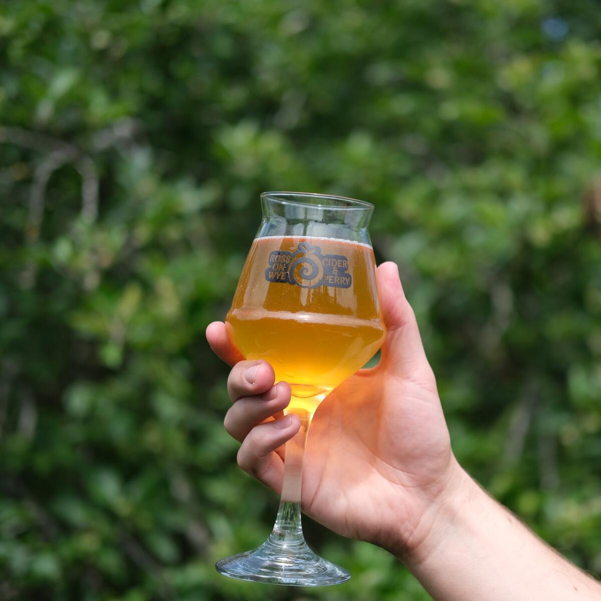 Glass of cider being raised