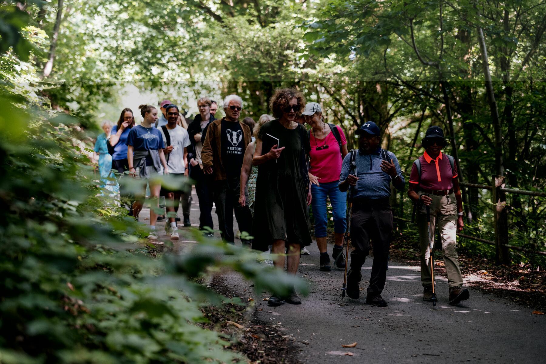 Multiple people on a walk