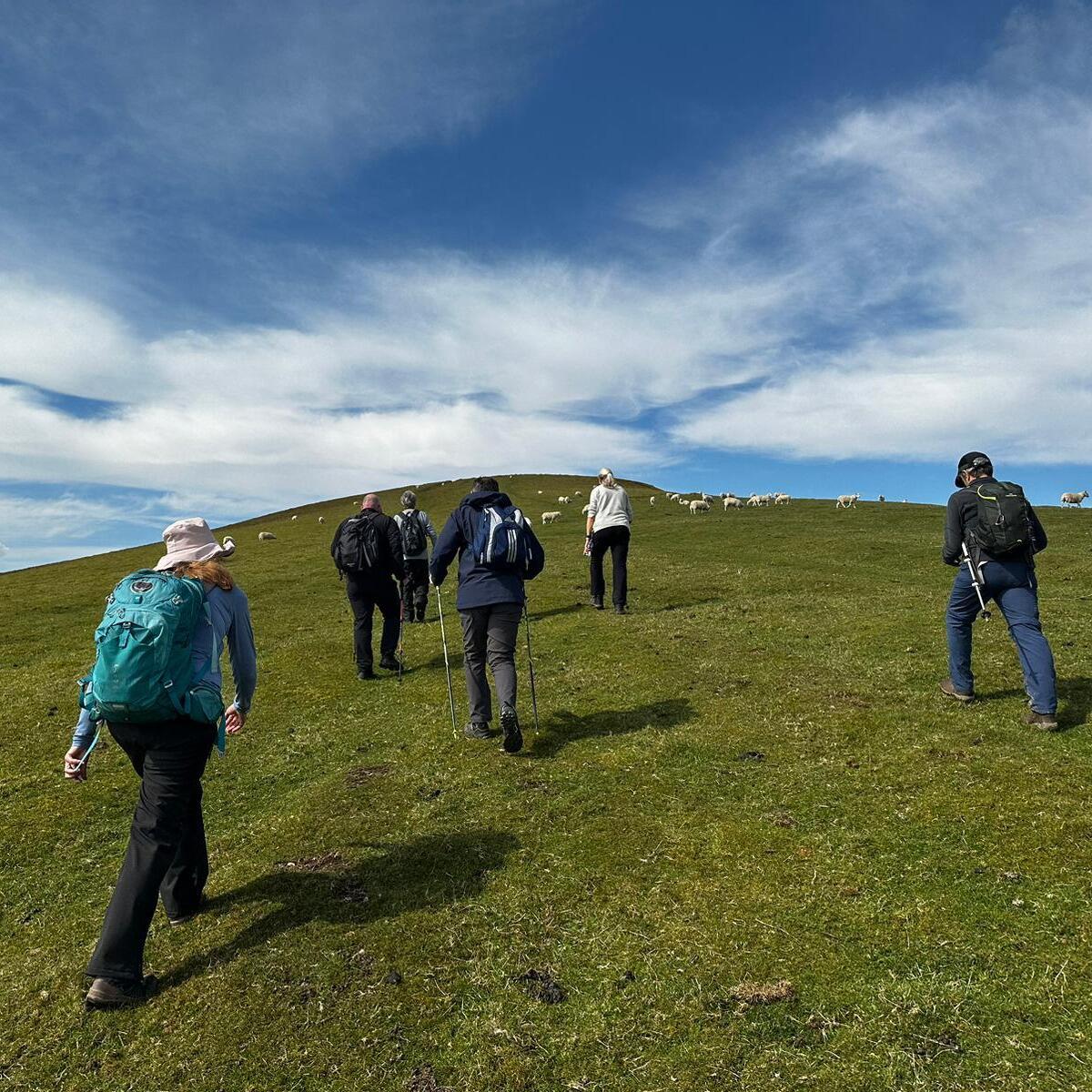 People walking up a hill