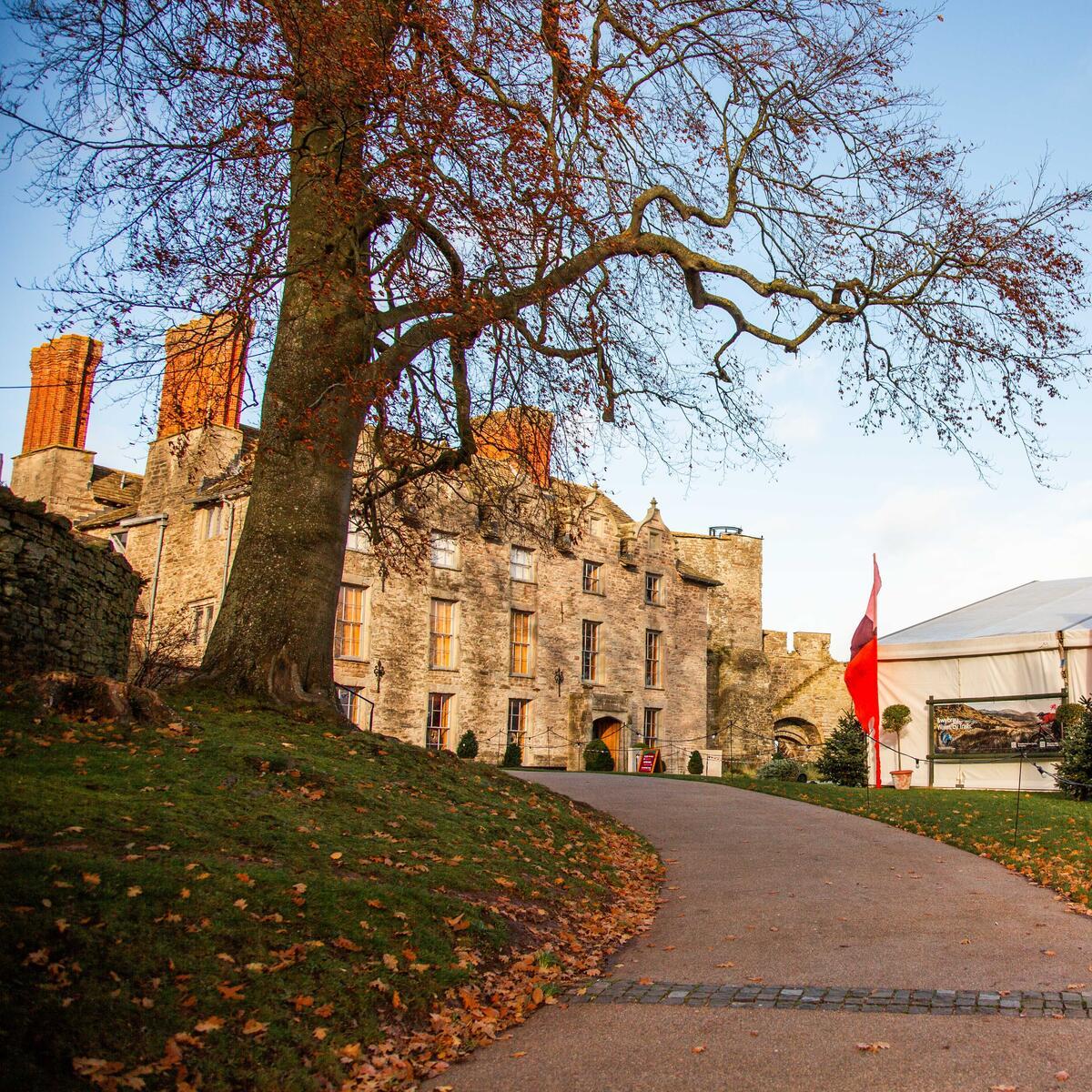 winter tree and large stone buildings