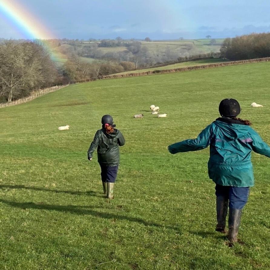 Young people running down a hill in a field of sheep