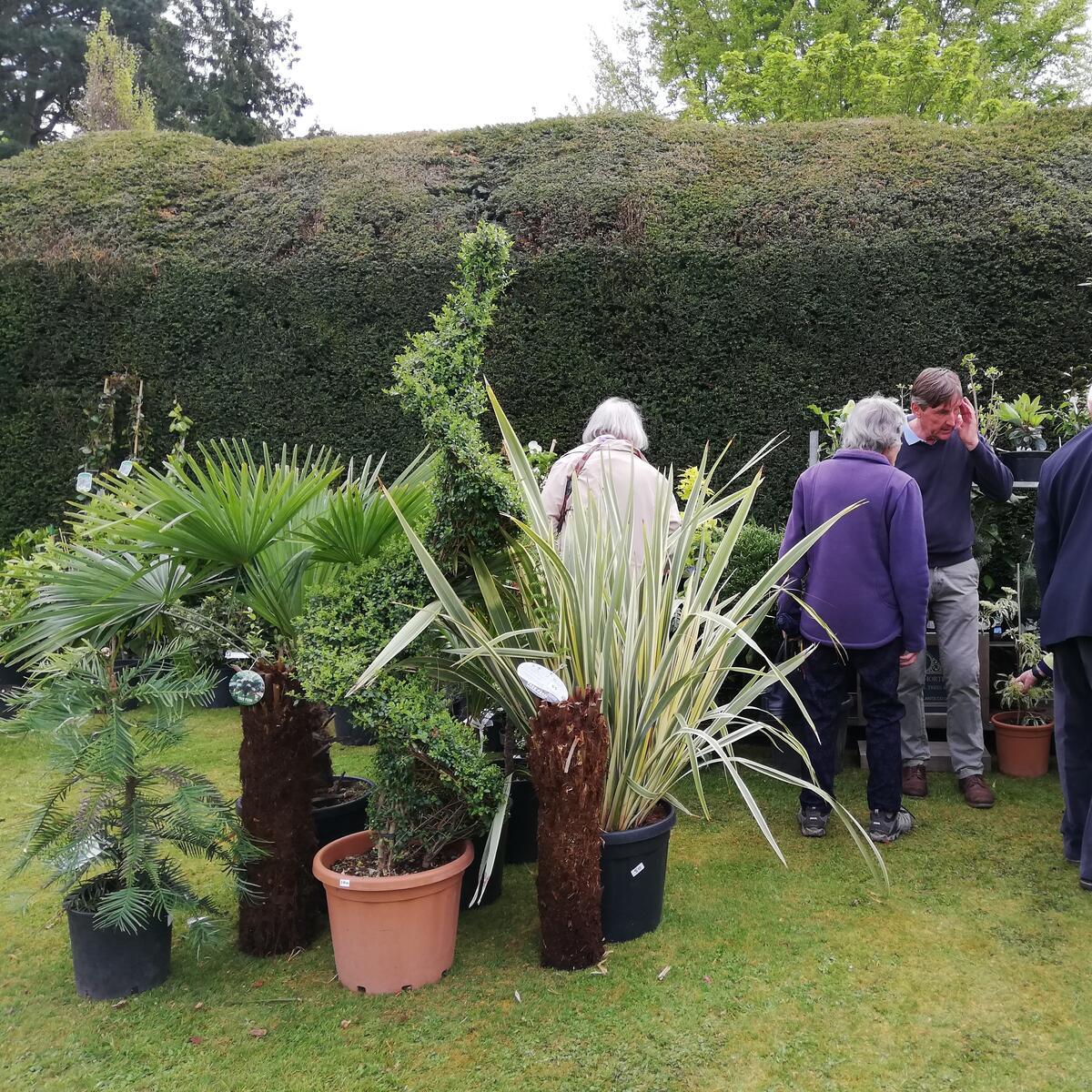 Broxwood Plants