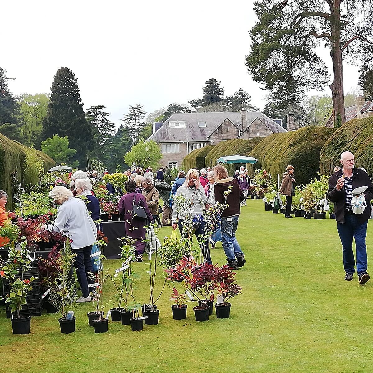 Broxwood Plants