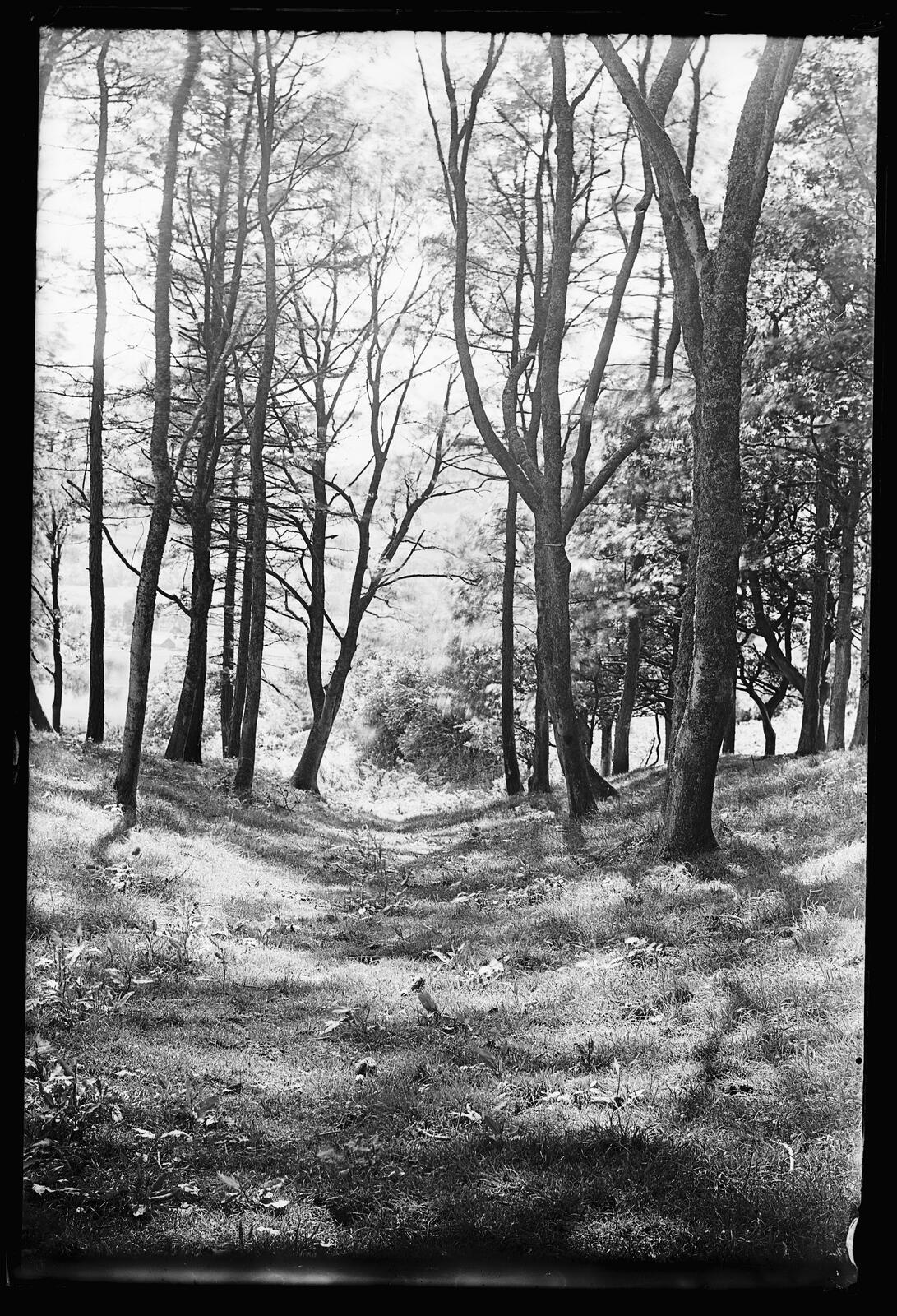 Ley Lines in the Landscape | Visit Herefordshire