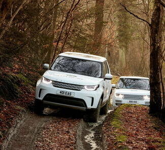 Landrovers driving woodland track