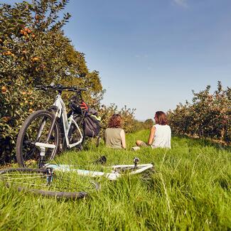 two people sat on grass in cider orchard next to bikes