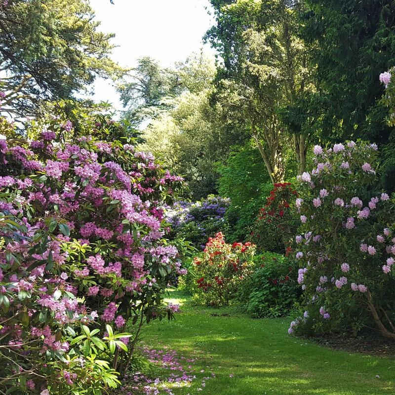 Hergest Croft Gardens | Visit Herefordshire