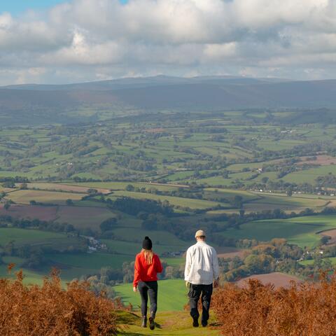 Hergest Ridge