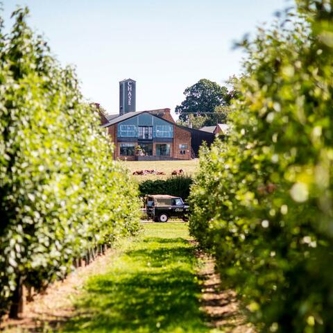 A view of Chase distillery from the orchards