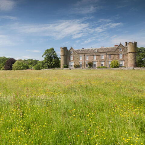 Buttercup meadow leading up to Croft castle