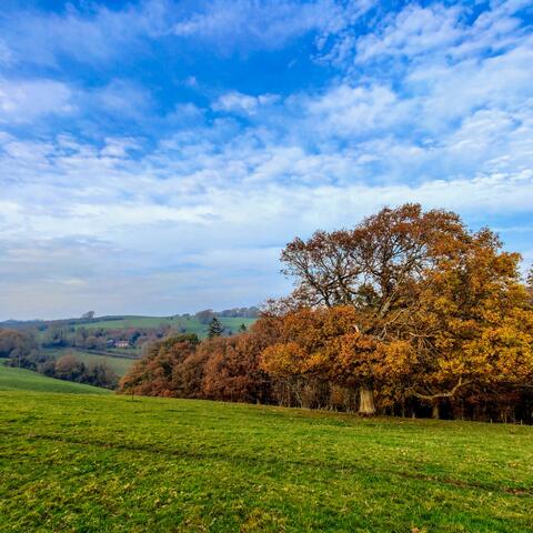 Arthur’s Stone & The Golden Valley | Visit Herefordshire