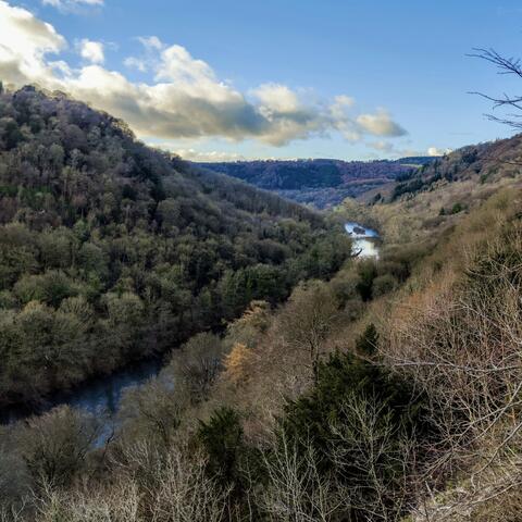 symonds yat