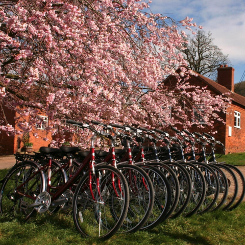 Ledbury Cycle Hire