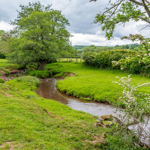 River Dore coming into Turnastone