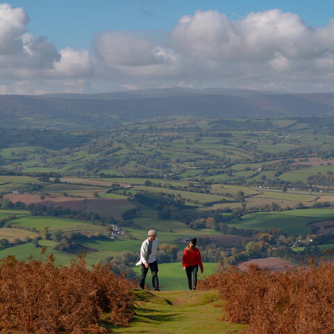 walking garway