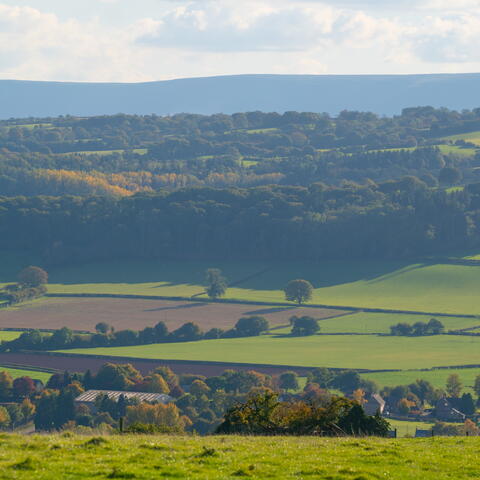 wye valley