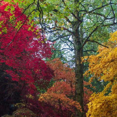 Queenswood Country Park