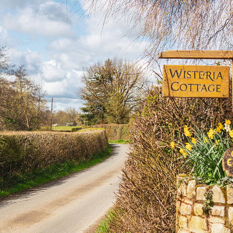 country lane