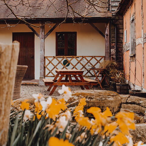 outdoor cider bar