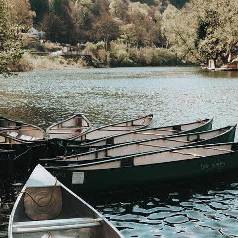 Canoes at water's edge