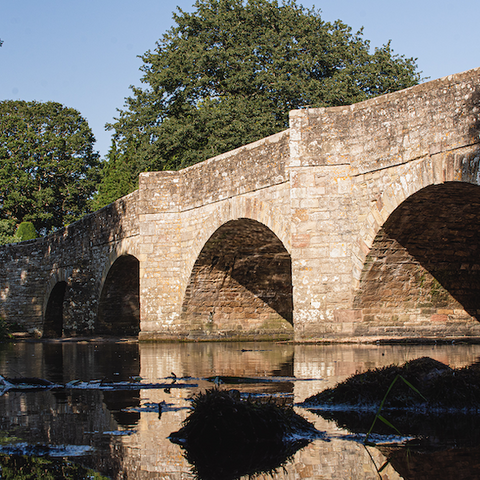 River Teme under Leintwardine Bridge